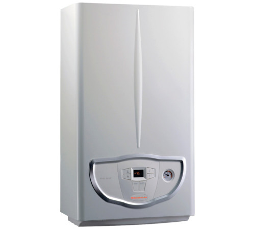 Газовий котел Immergas Nike Mini 24 3Е